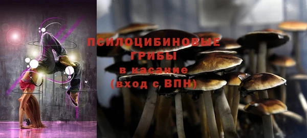 стаф Няндома