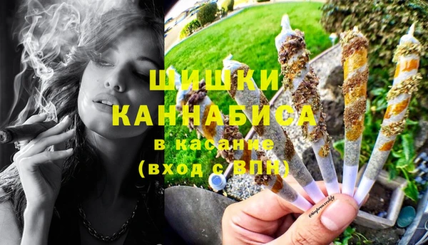 стаф Няндома