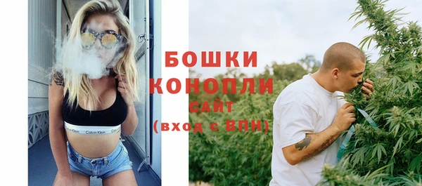 стаф Няндома